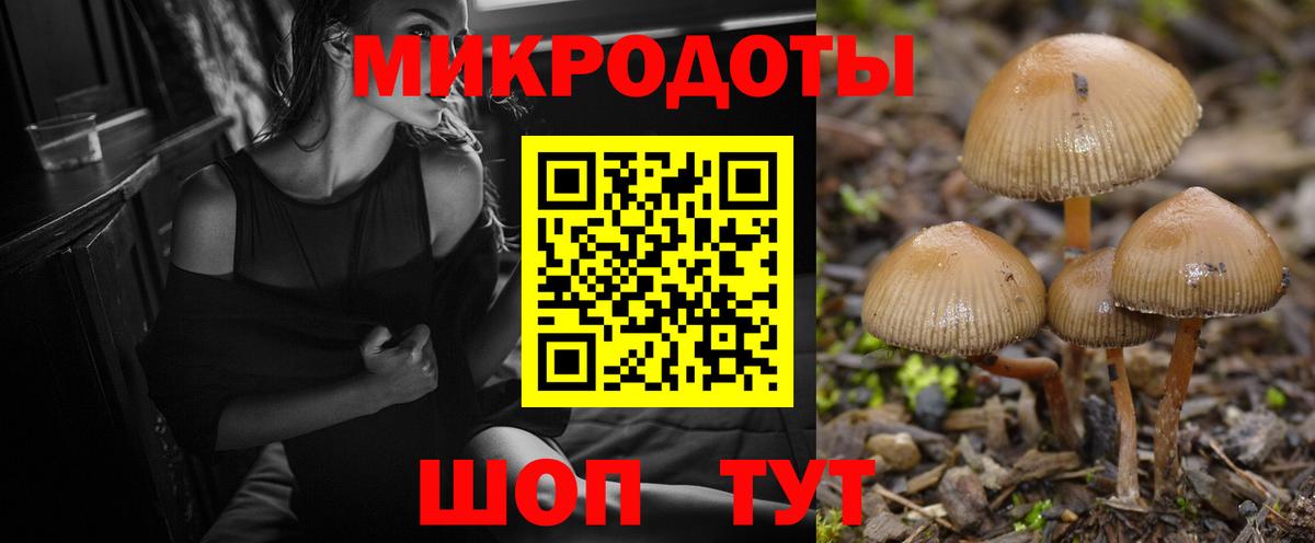 Галлюциногенные грибы ЛСД Амурск